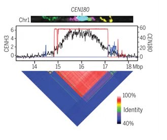 Plantae (@plantae_org) on Twitter photo Plant Science Research Weekly - One assembly closer to understanding centromeric evolution in Arabidopsis thaliana (Science) <a href="/hendersi/">Ian Henderson</a> <a href="/mike_schatz/">Michael Schatz</a> @malonge11 <a href="/MpNaish/">Matt Naish</a> (Summary by Rigel Salinas-Gamboa <a href="/Rigelitactica/">Rigel Salinas</a>) buff.ly/3oOBeFE Plant Science Research Weekly - One assembly closer to understanding centromeric evolution in Arabidopsis thaliana (Science) <a href="/hendersi/">Ian Henderson</a> <a href="/mike_schatz/">Michael Schatz</a> @malonge11 <a href="/MpNaish/">Matt Naish</a> (Summary by Rigel Salinas-Gamboa <a href="/Rigelitactica/">Rigel Salinas</a>) buff.ly/3oOBeFE