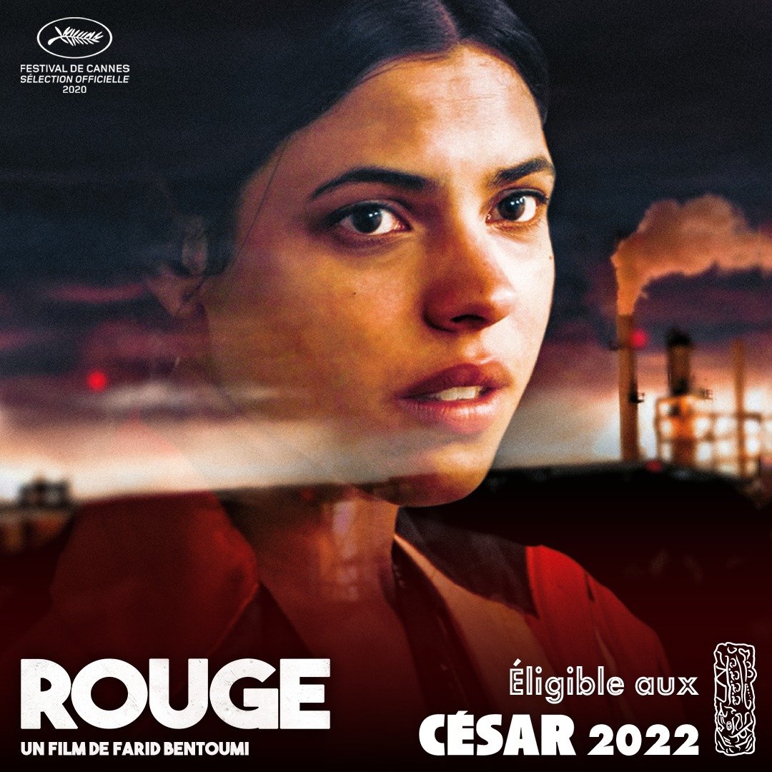 Les films Velvet tweet media