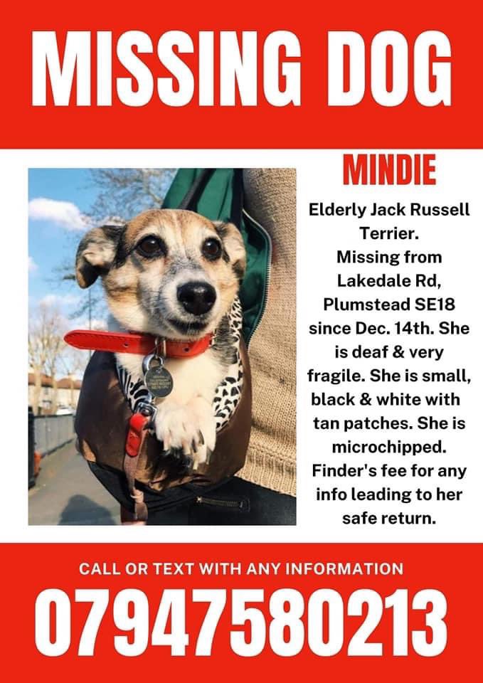 Cat tweets will resume shortly but cat loving Mindie is still a #MissingDog. She could be anywhere or if local with someone not on social media (the local area has been extensively leafletted). We ask those local and further afield across the UK to retweet to help #FindMindieSE18