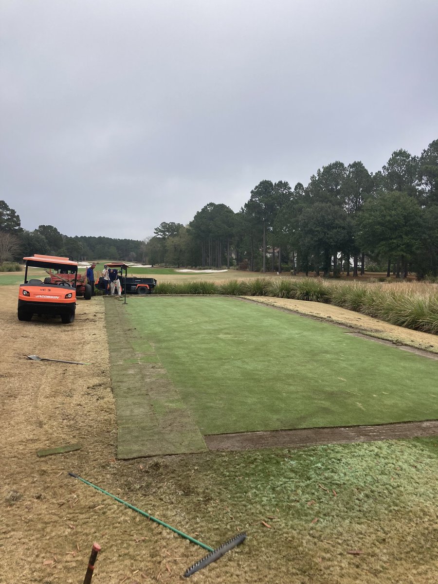 Starting to take back control of these Tifeagle tees. No more wonky lines. Sinking large nails in all corners so in the future it will be much easier to metal detect pull string and paint to keep them true. #Details