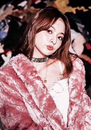 fromisnago's tweet photo. ㅤㅤ la vie en rose ♡ https://t.co/bt94NopAFk
