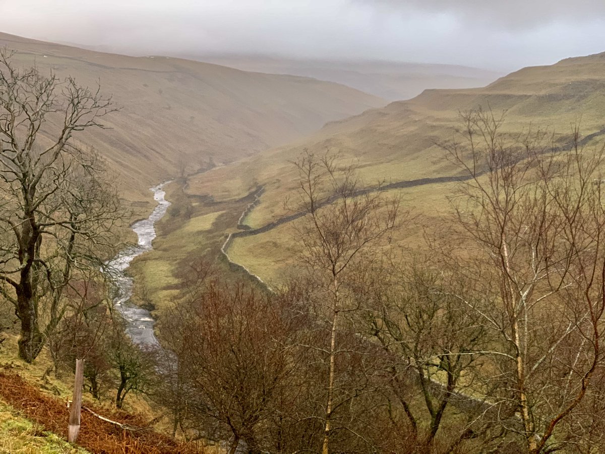 Moody skies over Pen-y-Ghent Gill this morning 
#littondale #yorkshiredales #penyghentgill #moodyskies