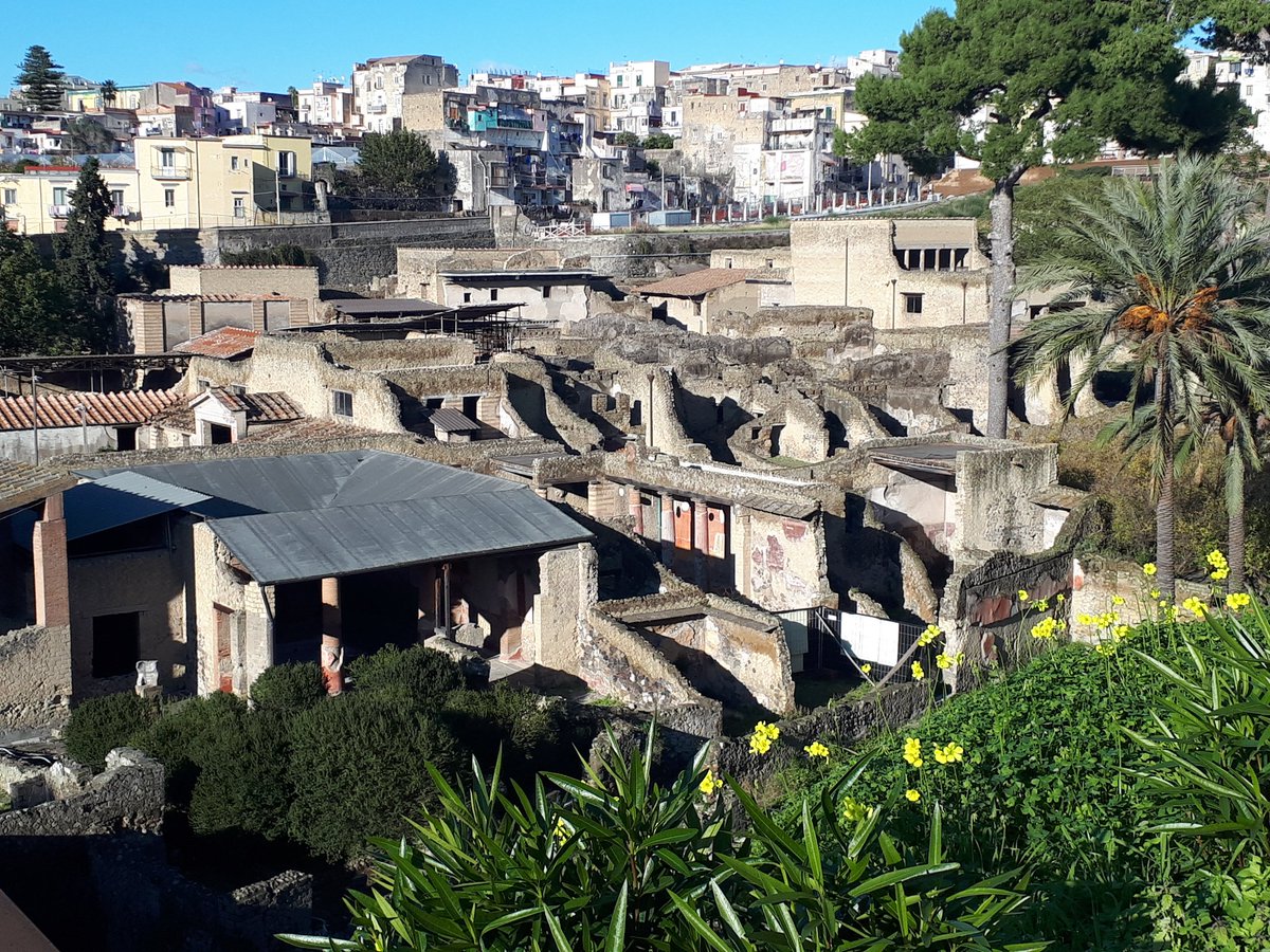 mariajosanchis's tweet photo. Una vista de les excavacions d'Ercolano (#Campània), envoltada per la nova ciutat, als peus del Vesuvi, i per les flors grogues d'agret, que tan familiars ens resulten al P. Valencià.
#ErcolanoScavi https://t.co/RMCjZutzQF