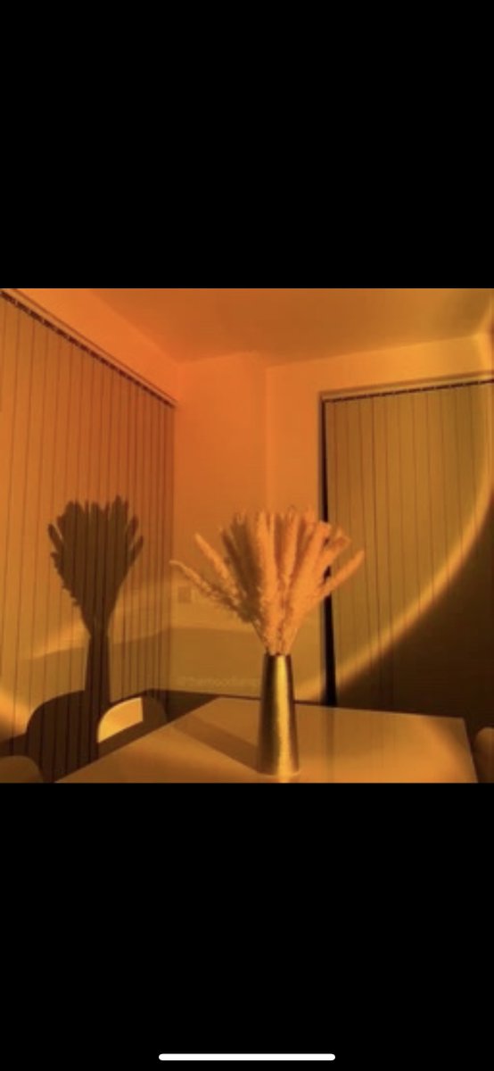 eveninglights_'s tweet photo. Stop by https://t.co/X1YEVYM2KT and grab your Sunset Lamp ! https://t.co/ADvgN57IN2