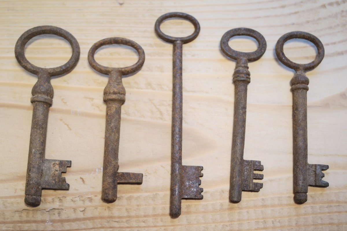 VintageSoviet's tweet photo. #Skeleton #Keys #old #RustyKeys #Set of 5 #steampunk #craft #supplies #rusty #metal #rustic #iron #tool
https://t.co/MRYNKoagwj @Etsy https://t.co/2pLgSWi3Ky
