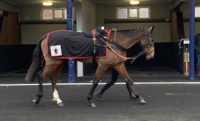 🎯Auditoria (@coolmorestud Gleneagles) opens nicely her NH account @CatterickRaces trained @O_J_murphy91 for @NickBrownRacing.
@InfoArqana purchase from @ecuriefmonfort . Bravo 🎉🎉🎉