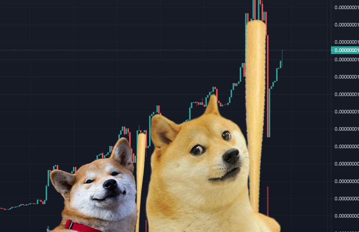 dabeef13's tweet photo. The 3rd sign...... ITS A TRILOGY OF SIGNS. DESTINY. LEGEND. MECCA. NIRVANA. DOG PARKS. We have the sign that will be talked about for ages. THE Gods are on our side. #Shibonk #SHIBO https://t.co/jAH0MlRmxm