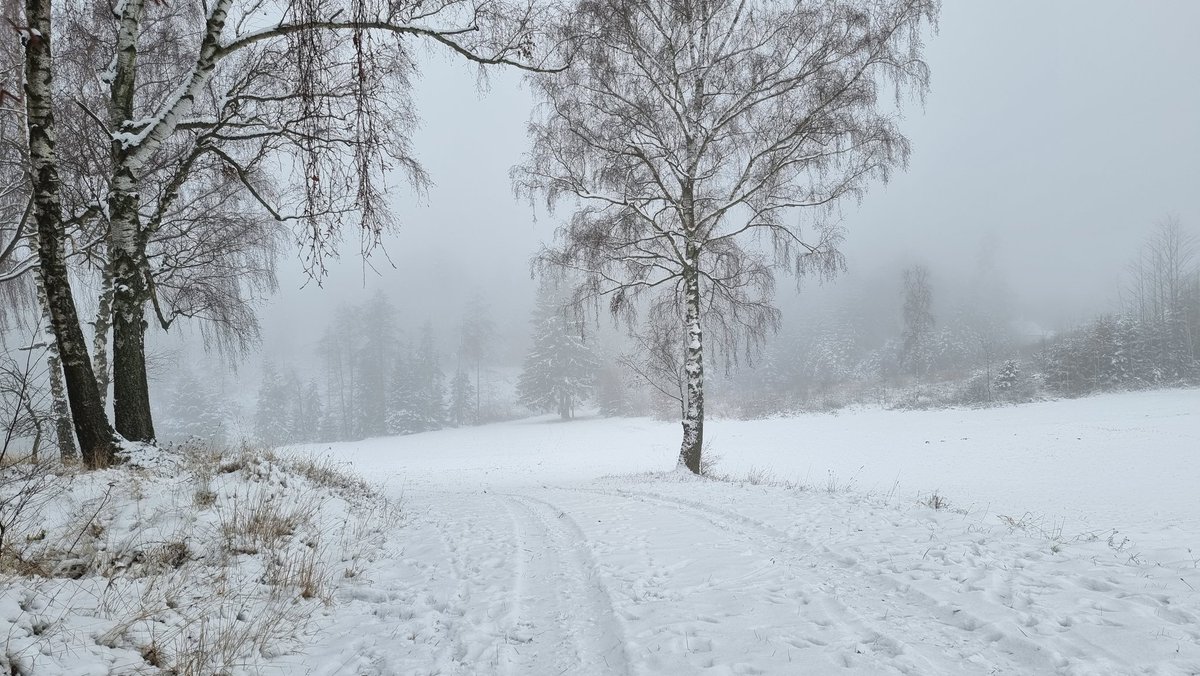 I hope this is not the start of the cryptowinter.