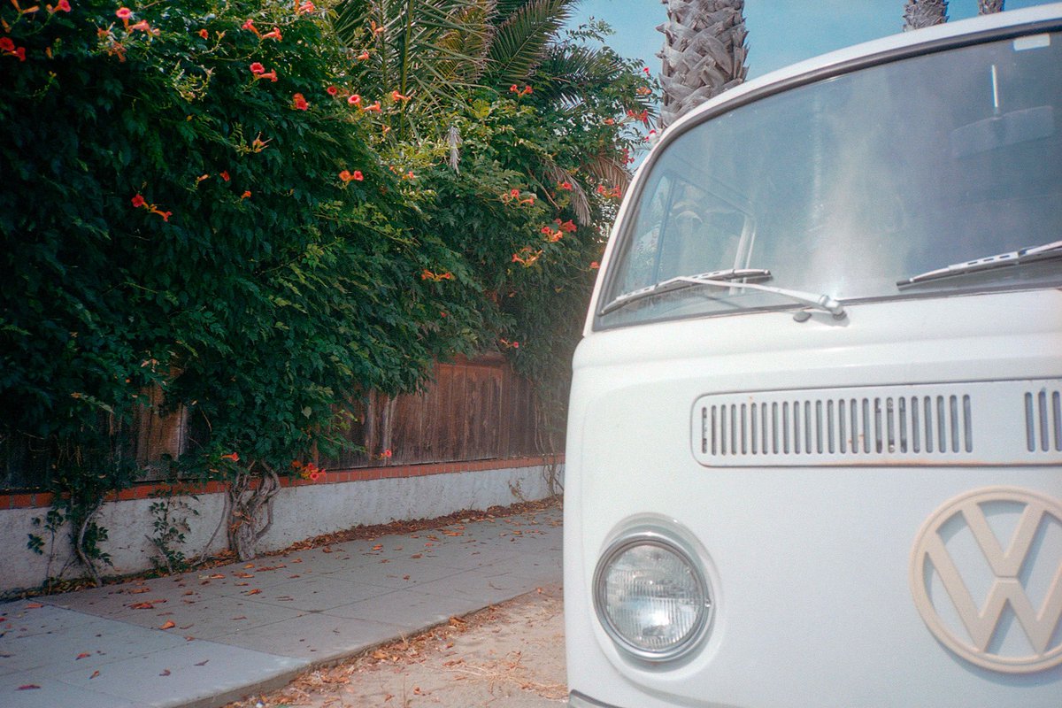 nev_in_color's tweet photo. SoCal on 35mm 🎞 https://t.co/B8zESgt8Yl