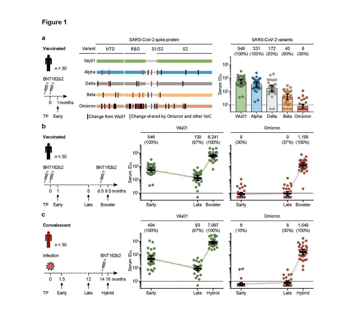 Questo grafico pubblicato su Nature ci dice che: 
1) 2 dosi NON bastano nel fermare la Omicron

2) Con il booster tutto cambia e gli anticorpi bloccano la variante

3) Una precedente infezione NON conferisce immunità. Se però ci vacciniamo anche con una sola dose, tutto cambia