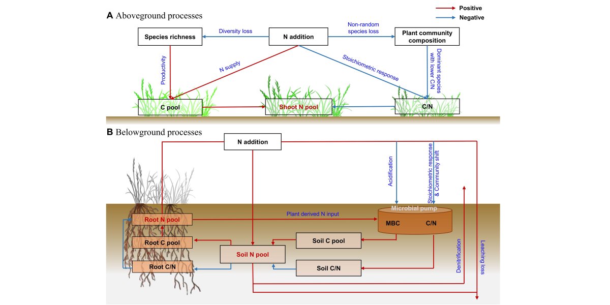 ESAApplications's tweet photo. New in @ESAApplications:
The changes in plant and soil C pools and their C:N stoichiometry control grassland N retention under elevated N inputs
https://t.co/cVFkVG88MT
With #OpenData in @figshare
#SoilNitrogen #NDeposition #Grasslands https://t.co/k2wVnsNlm0