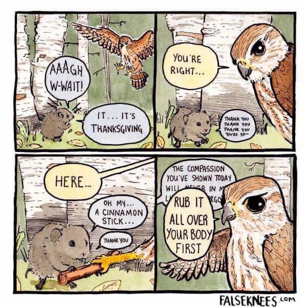 To the rat, an owl should be an owl and absolutely nothing else. #BlackTwitter #Blog #selfreflection