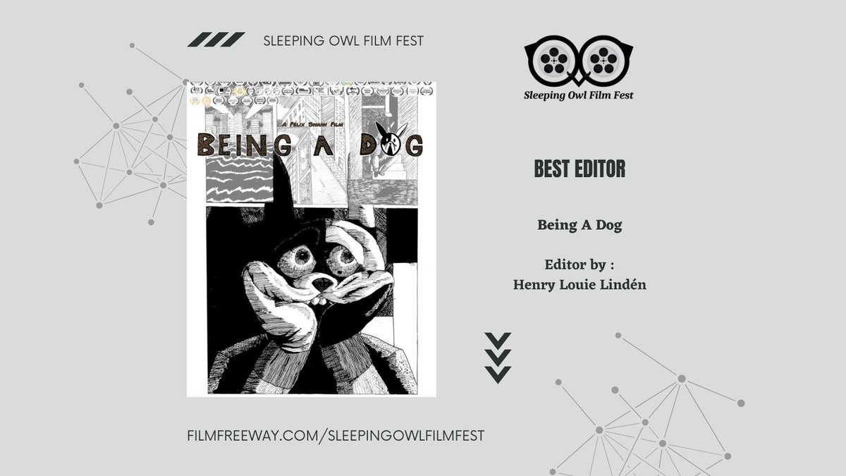 Sleeping Owl Film Fest tweet media