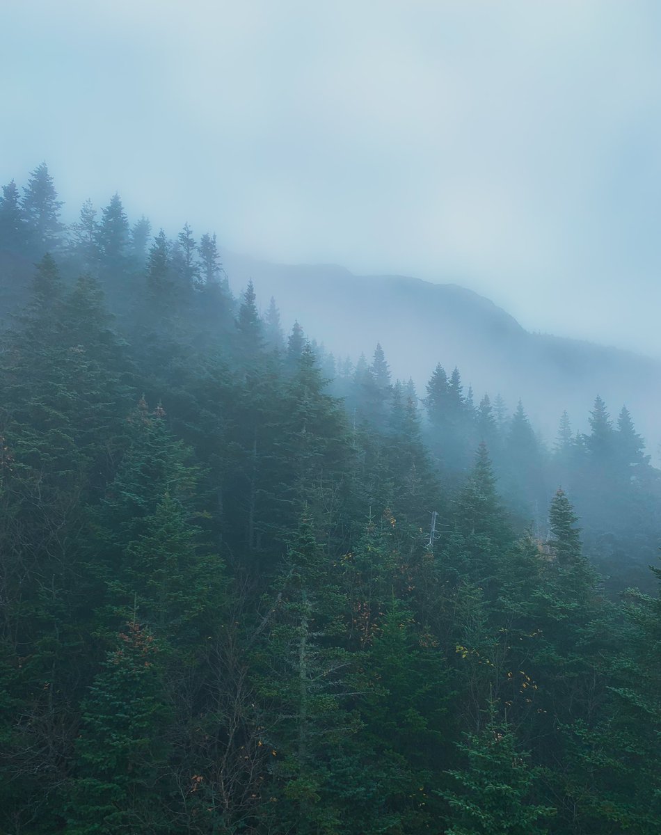 Mike_Myza's tweet photo. So go get your fucking shine box and your sack of nickels.
#vermont #lightroom #photography #adobe #stowevermont https://t.co/ODm3FKe4Qn
