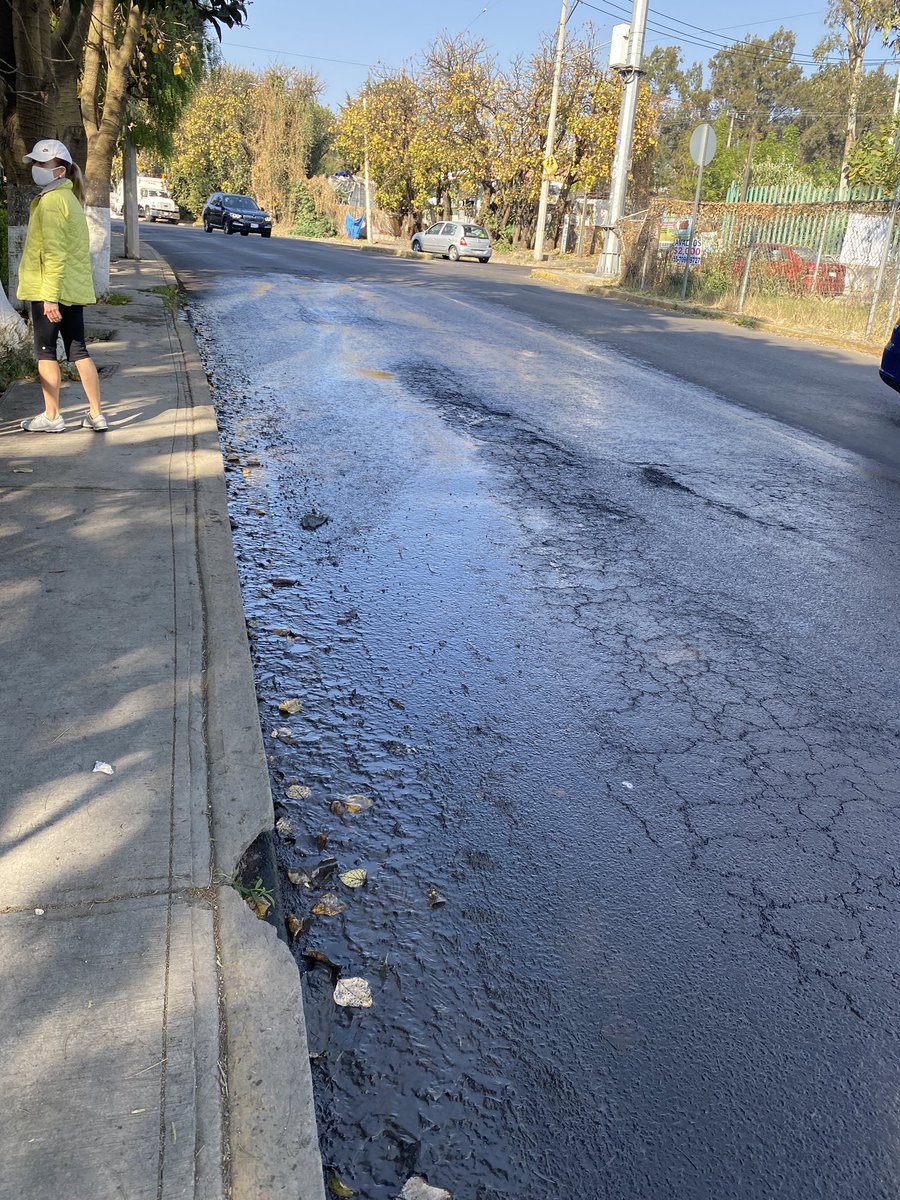 Nino Canun Rojas tweet media