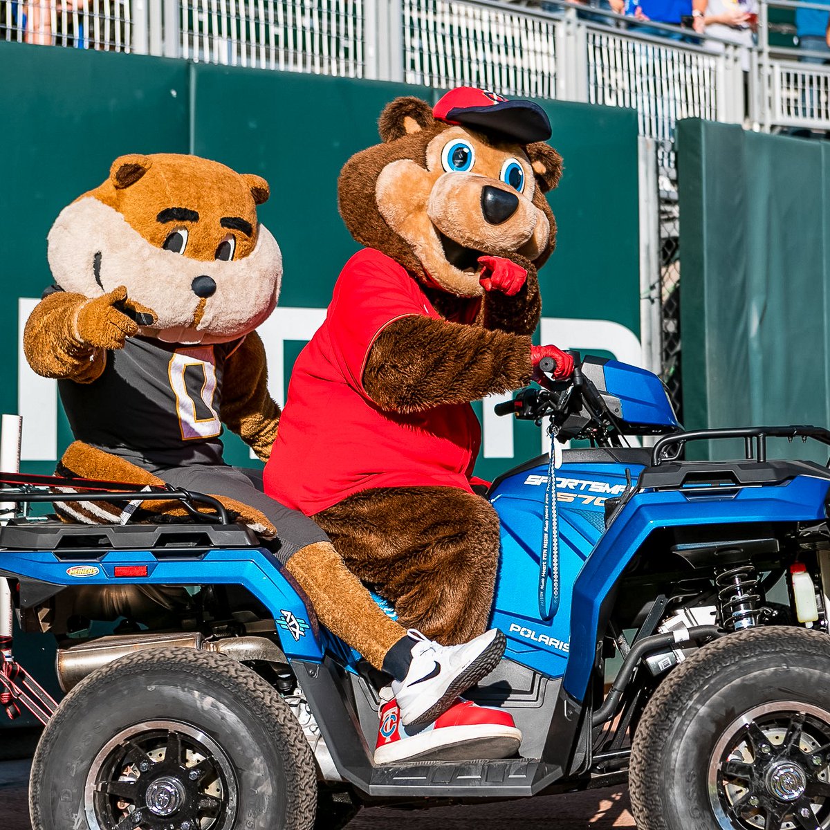 Good luck tonight in your bowl game, <a href="/GopherFootball/">Minnesota Football</a>!

RT for a chance to win a #MNTwins &amp; U of M co-branded hat! #SkiUMah