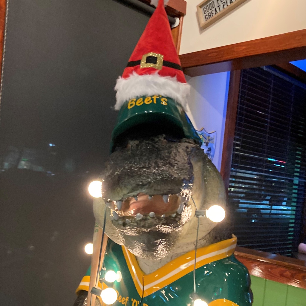 swflpix's tweet photo. Season's Gatorings!

#capecorallights #floridalights #christmaslights #christmasdecor #christmas #capecoral #southwestflorida #florida #floridalife #swflpix https://t.co/N1E9exF4fJ