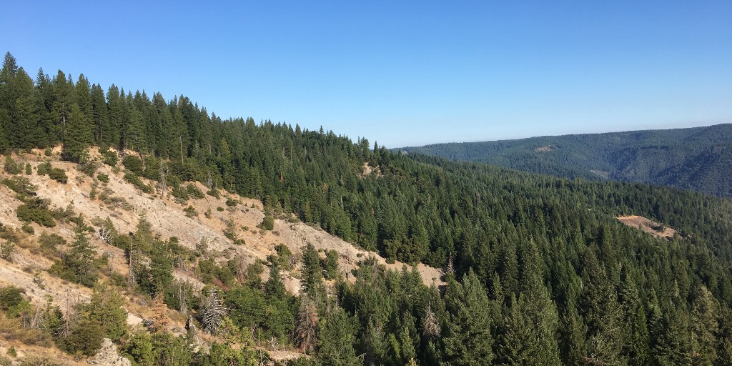 errolcatanes's tweet photo. Yahoo! More posted images about the time I collab'd with the @Tahoe_NF  c/o the @R5Usfs Public Affairs Office. 

More #YubaPass? Yes? Again, correct me if I'm wrong.

#usfs #tahoenationalforest #businesstrip #forest #californiaforest #forester #forestry #forestwalk #california https://t.co/qEuxoEd8K9