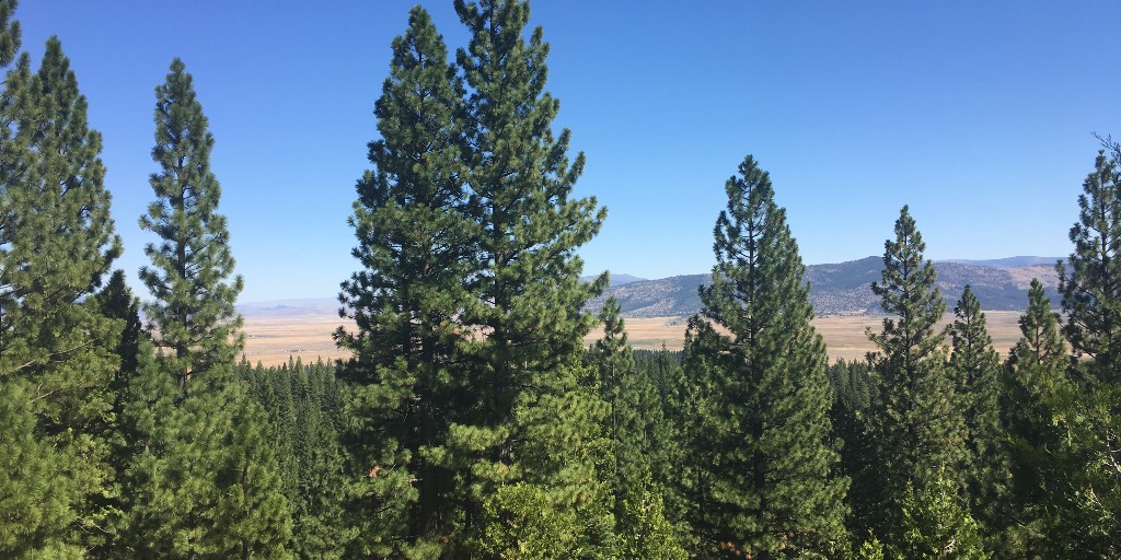 errolcatanes's tweet photo. Yahoo! More posted images about the time I collab'd with the @Tahoe_NF  c/o the @R5Usfs Public Affairs Office. 

More #YubaPass? Yes? Again, correct me if I'm wrong.

#usfs #tahoenationalforest #businesstrip #forest #californiaforest #forester #forestry #forestwalk #california https://t.co/qEuxoEd8K9