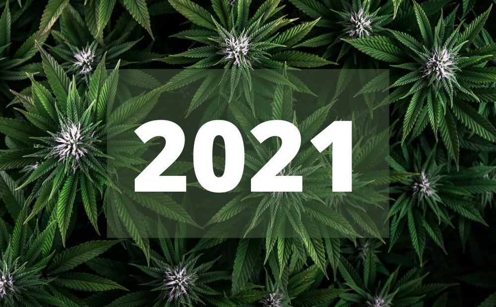 RCU - Responsible Cannabis Use tweet media