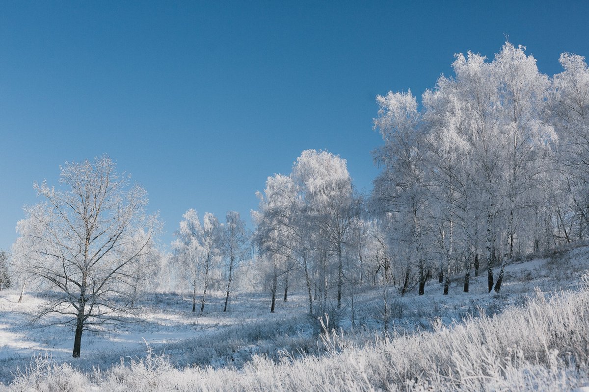 TotalCSR's tweet image. It's cold outside, but your new hire will get a warm welcome with Total CSR's structured onboarding!

You need a robust, structured training program to get them started in their role. Check out Total CSR today to find out why.

totalcsr.com/demo

#newhiretraining #insurtech