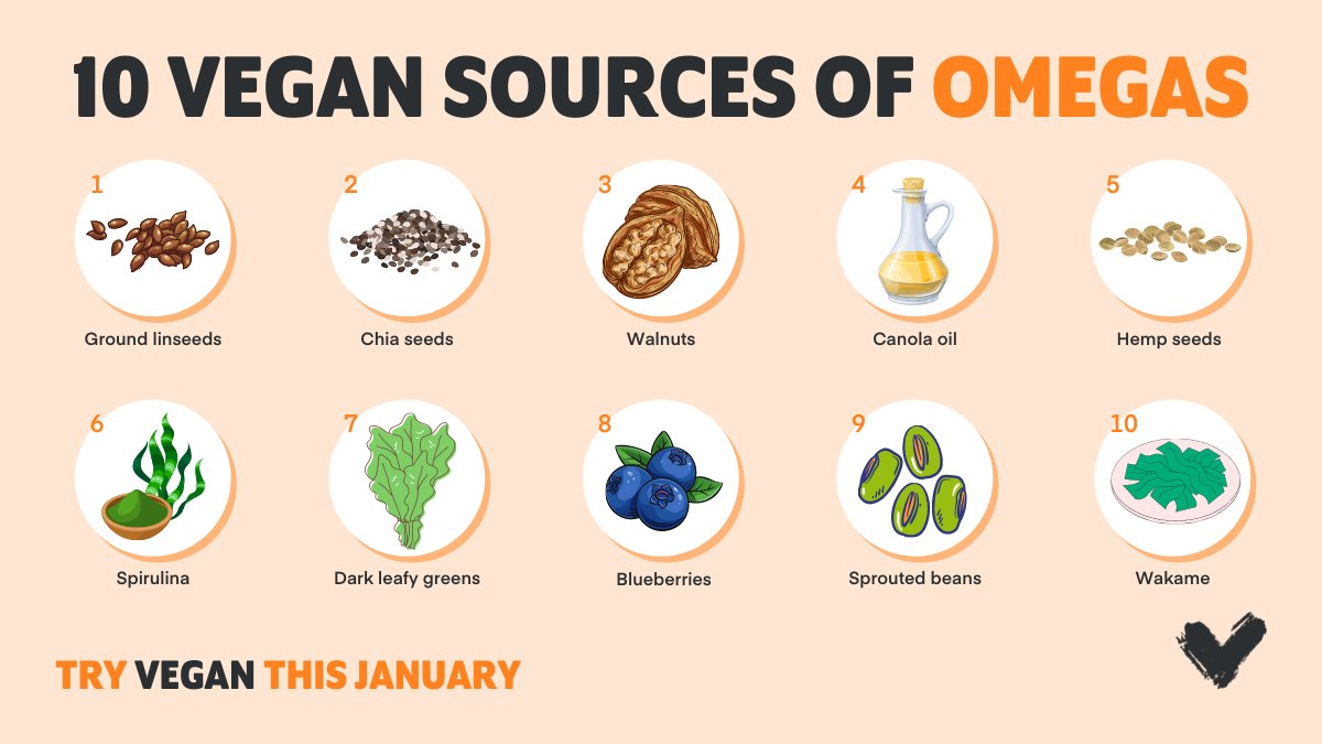 Veganuary tweet media
