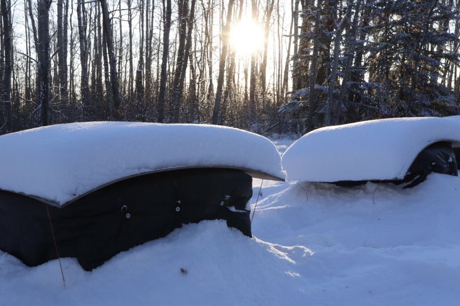 sweetpurehoney's tweet photo. Have you ever wondered what happens to our bees during the Canadian cold winter months? Follow @smokeybeekeeper on Instagram for a rare glimpse inside our bee hives. #sweetpurehoney #beekeepers #canadianfarmers #beehives #wintering #winterbees #smallbusiness https://t.co/Sx8Oq4tibD