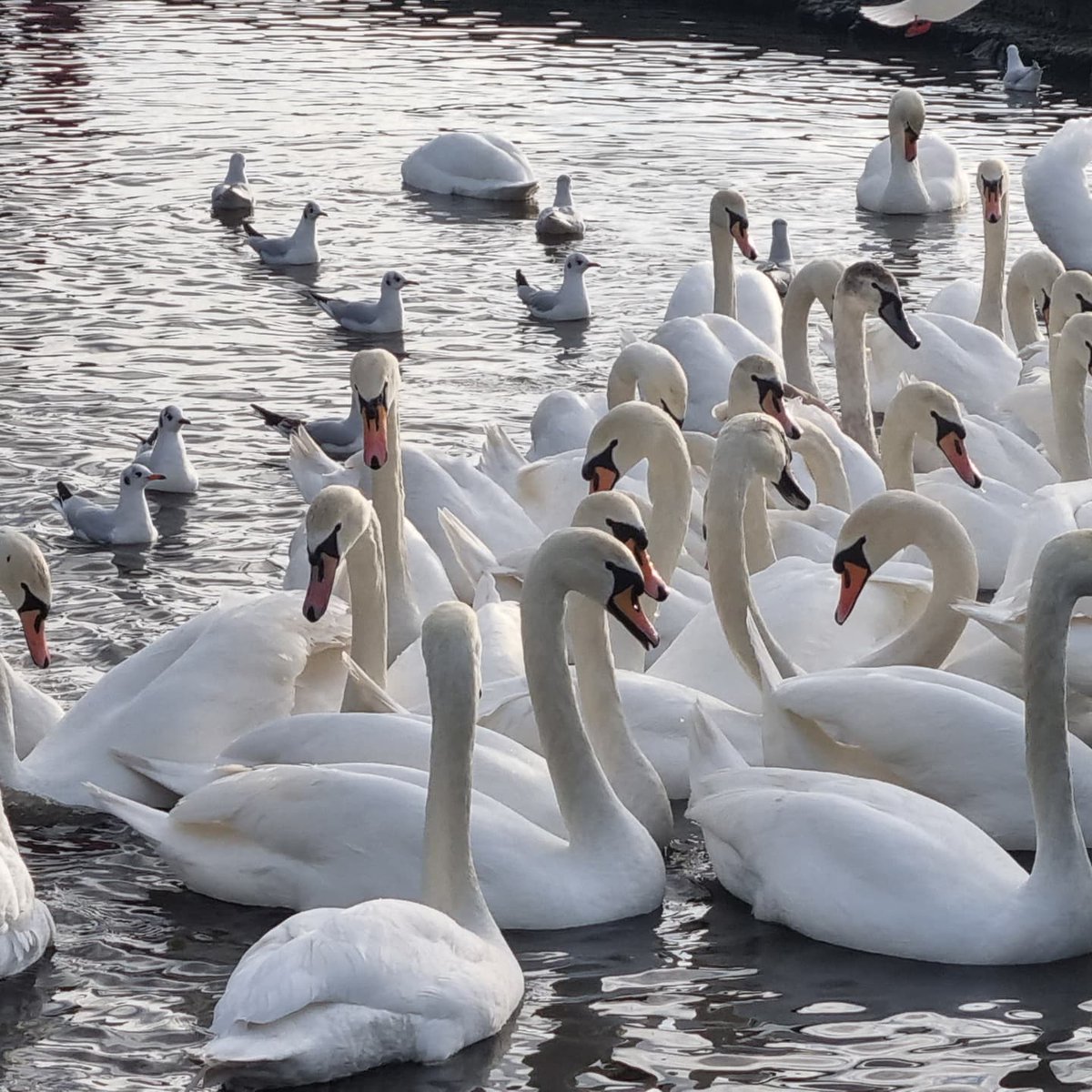 <a href="/bricklaneppaisl/">Brick Lane Music Academy</a> Barshaw Park by Brick Lane Media 👍