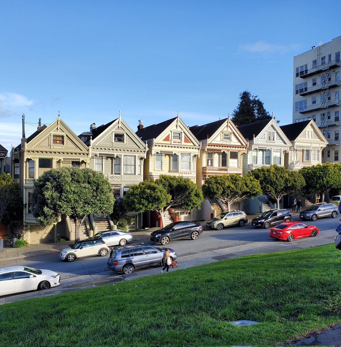 Jofel00's tweet photo. Painted Ladies #SFO https://t.co/Zdh85sMu37
