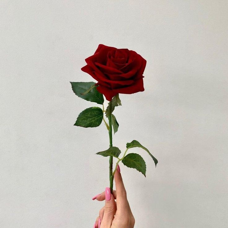 📦vía Amazon
     🏷 Para: <a href="/lucknIove/">𝐉𝐚𝐤𝐞 𝐏. 𝐊𝐚𝐡𝐚𝐥𝐞 — fc ! au</a>
   
           From: —
 
        ❛Juste un petit rappel de combien je t'aime.❜