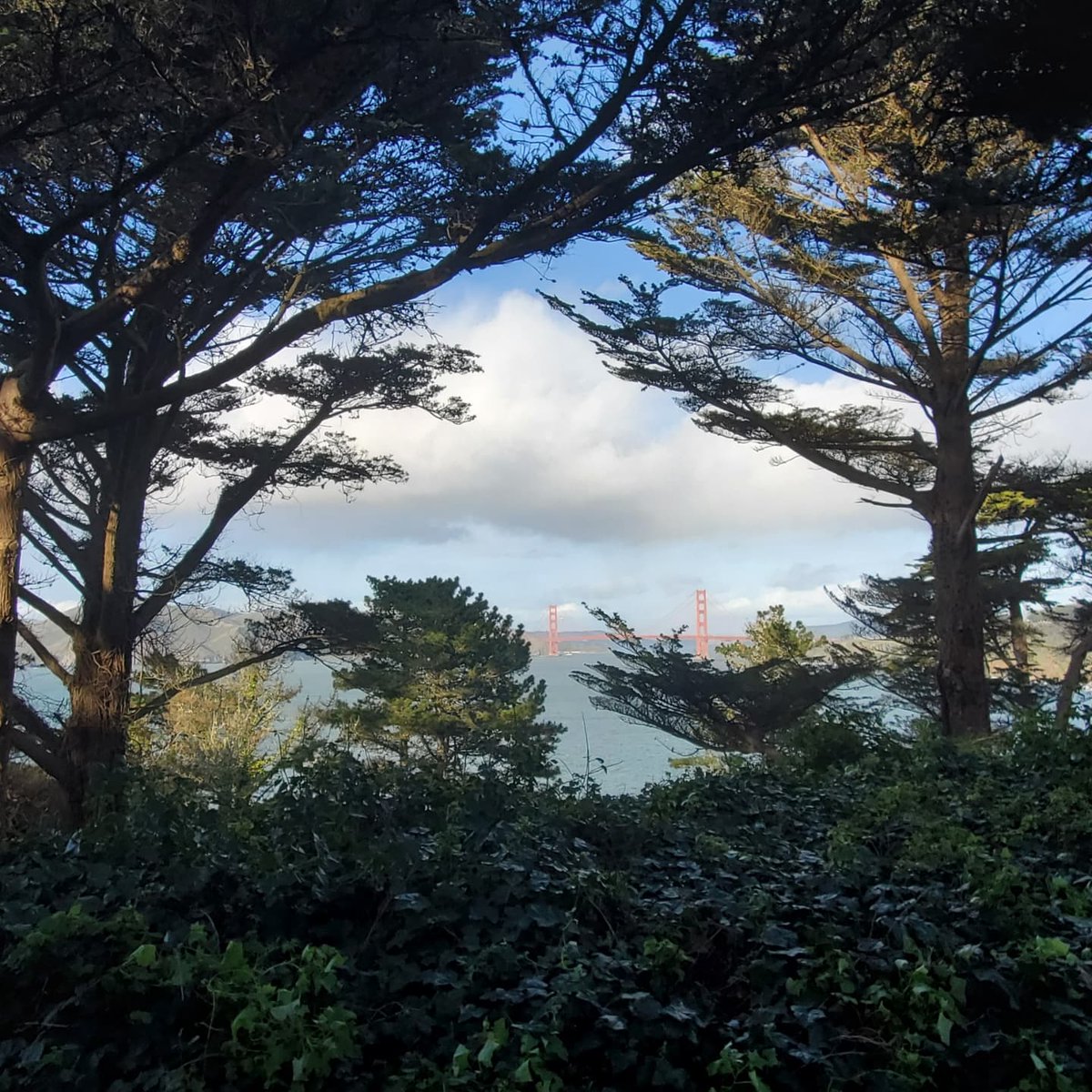 Jofel00's tweet photo. Golden Gate! #SFO https://t.co/X3DGA8tGWY