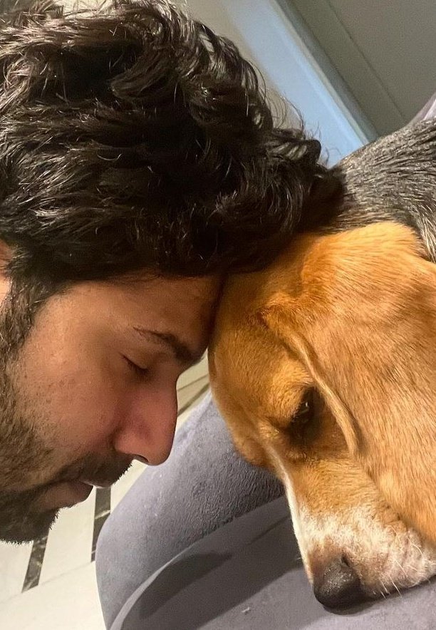 MrsVARUNDaOne's tweet photo. "Beyond Love" - Varun Dhawan 🥺🧿 
@Varun_dvn CutieeePieee 🥰😘♥️ https://t.co/5kQ9OPhL8R