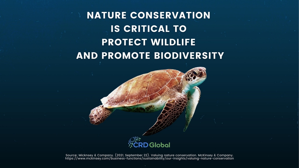 CRDglobal's tweet photo. Scientists &amp; policymakers have called for nature to be conserved in at least 30% of the planet's surface by 2030, nearly doubling nature conservation on land and national waters.

Make the switch to sustainable investing today with https://t.co/7H4XFjBSGi

#sdg #climateaction https://t.co/FIbNCzpejp