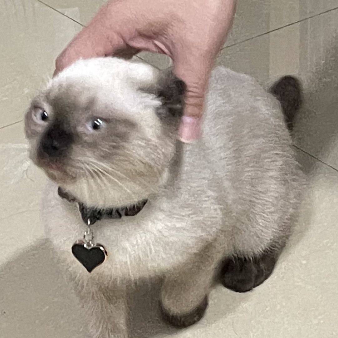 ขำป๊าหมั่นเขี้ยวมูมูหัวฝุ่น ละฝุ่นคือแบบ555555555555ป่อยนุ555555555