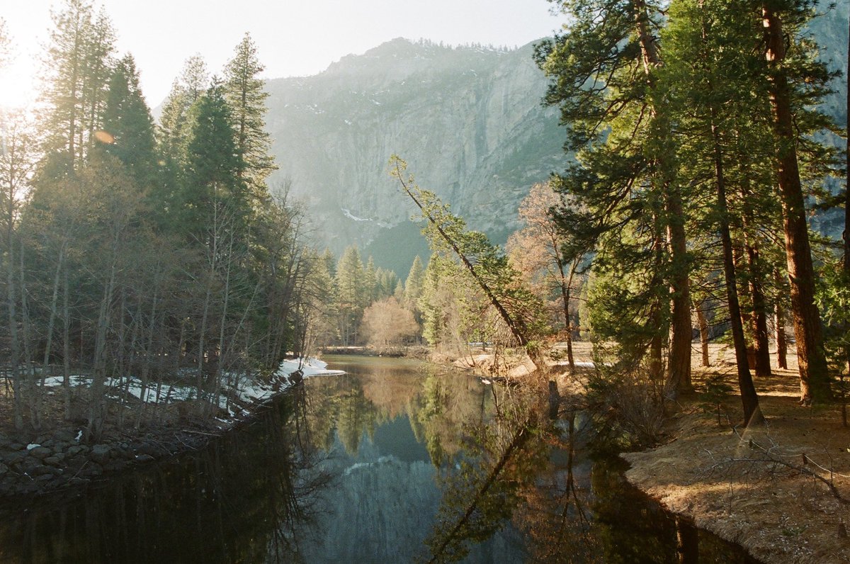 brandonjhook's tweet photo. A few of my favorite photos from this year on 35mm 🎞 https://t.co/cFg6dbmLKI