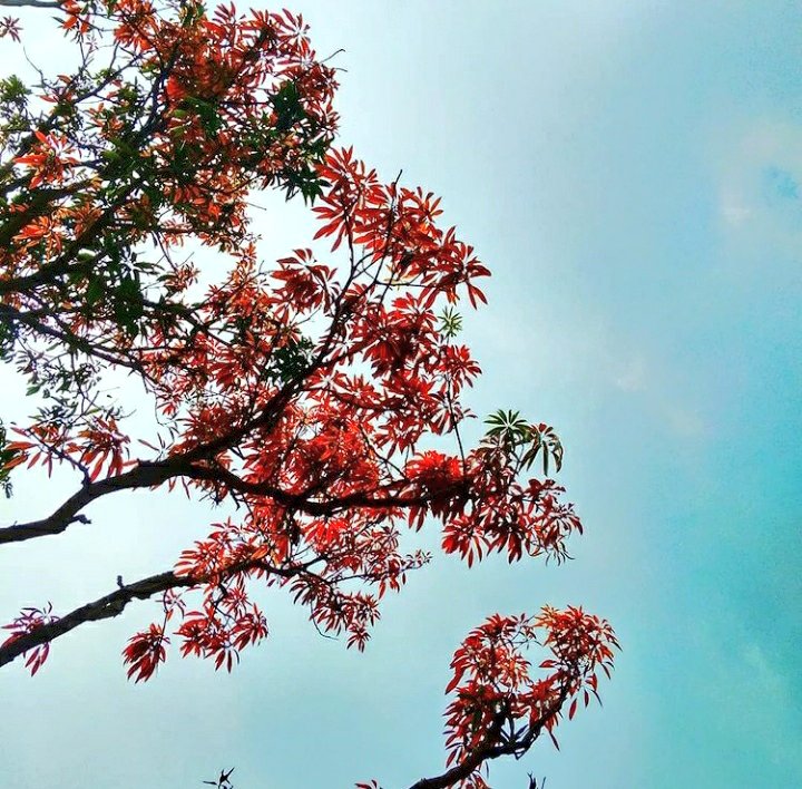 CycloneAnalyser's tweet photo. #POD
#landscapes
#naturelovers #nature #NaturePhotography #NatureBeauty #photography
#Announcement :- This is the last #POD by us,we're thankful to you for supporting us this far,but everything have a end,So today we end #CycloneFacts,#TOP4 & #POD here. https://t.co/7zdbod15Wg