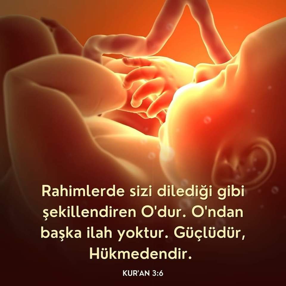 ATO (@islamyolutevhid) on Twitter photo 