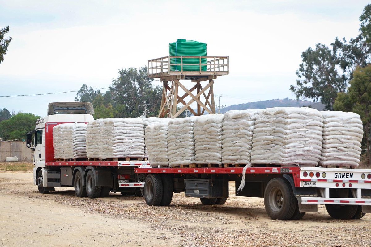 ¡Seguimos apoyando a los crianceros de la zona!

🔴 En la localidad de Catapilco en #Zapallar se realizó la entrega de alimento de ganado para crianceros no Indap. La actividad fue encabezada por la DPP <a href="/mpazsante/">María Paz Santelices</a>, el seremi <a href="/Htolepet/">Humberto Lepe Tarragó</a> y el municipio de Zapallar
Continúa el hilo👇