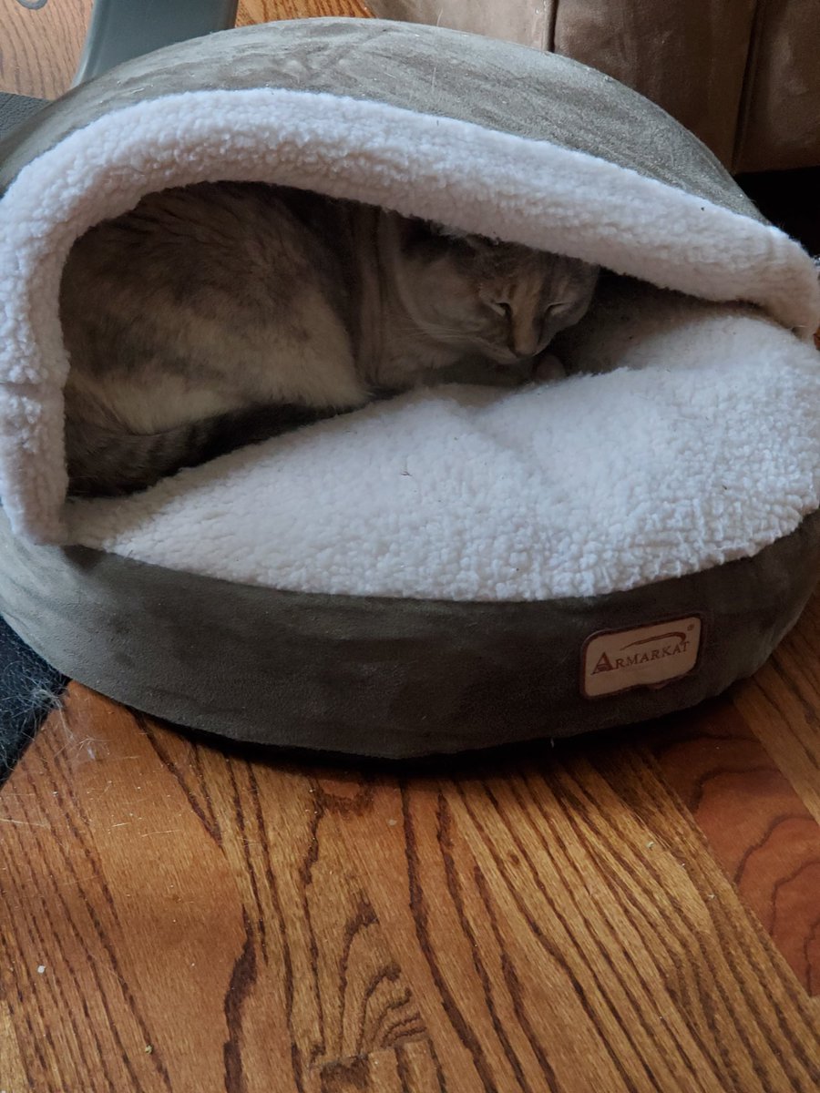 Denise (@luvthebeachdd) on Twitter photo Hear Ye, hear Ye, winter has arrived! Princess Chubby has returned to her Winter Palace and is awaiting her beloved Mankas!😻😻😁
<a href="/ToughGuyMankas/">Mánkas</a> @WilliamTheGinge <a href="/VitCza/">Rocky 😸Tabitha 😽Bernee🐻🌈Vitcza🌈Barney</a> <a href="/keepupwithjen/">Jenn</a> <a href="/KevinScampi/">Kevin,Scampi,Lettie,Bea,Ted😺</a> <a href="/CatladyLovinFL/">Cat Lady Gang Lovin’ Florida</a> <a href="/deborah26449389/">Sassy&kids&BuddyB❤😻🐾😼🐾😻 ❤😸💓 LucyBell🐕🤗</a> <a href="/VitoandEnzosMom/">Vito & Enzo’s Mom</a> <a href="/SomoraRocks/">Somora</a>
#CatsOfTwitter Hear Ye, hear Ye, winter has arrived! Princess Chubby has returned to her Winter Palace and is awaiting her beloved Mankas!😻😻😁
<a href="/ToughGuyMankas/">Mánkas</a> @WilliamTheGinge <a href="/VitCza/">Rocky 😸Tabitha 😽Bernee🐻🌈Vitcza🌈Barney</a> <a href="/keepupwithjen/">Jenn</a> <a href="/KevinScampi/">Kevin,Scampi,Lettie,Bea,Ted😺</a> <a href="/CatladyLovinFL/">Cat Lady Gang Lovin’ Florida</a> <a href="/deborah26449389/">Sassy&kids&BuddyB❤😻🐾😼🐾😻 ❤😸💓 LucyBell🐕🤗</a> <a href="/VitoandEnzosMom/">Vito & Enzo’s Mom</a> <a href="/SomoraRocks/">Somora</a>
#CatsOfTwitter