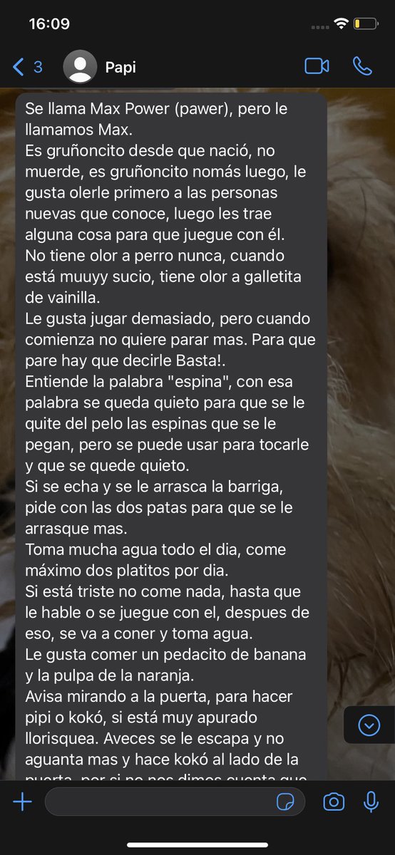 larissaamf's tweet photo. le vamos a dejar a mi perro en un hotel y porfa miren lo que papá me envió para que le diga a la cuidadora https://t.co/owXaR13Zpq