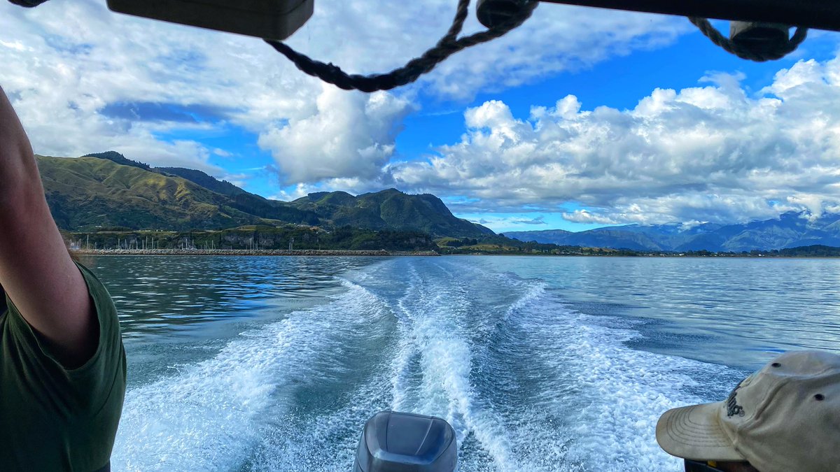 annikakes's tweet image. I get to go fishing! #squee #NZHellhole