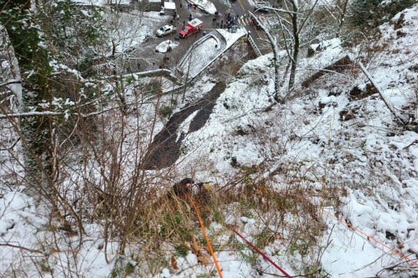 Oregon firefighters rescue woman clinging to tree root atop 300-foot cliff https://t.co/3n3Sq4gpIP https://t.co/bTbzQ2lAwE