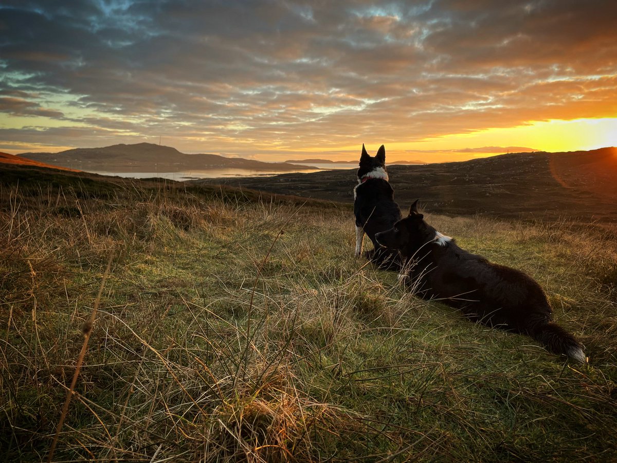TMairiAnndra's tweet photo. Followed part of the old track from #northglendale to #southglendale to take the dogs for a walk before the sun went down.. the postie used to follow this track to deliver to #taighmairianndra it was super wet and boggy today but the views are worth it #southuist #outerhebrides https://t.co/rsCMmNT9bo