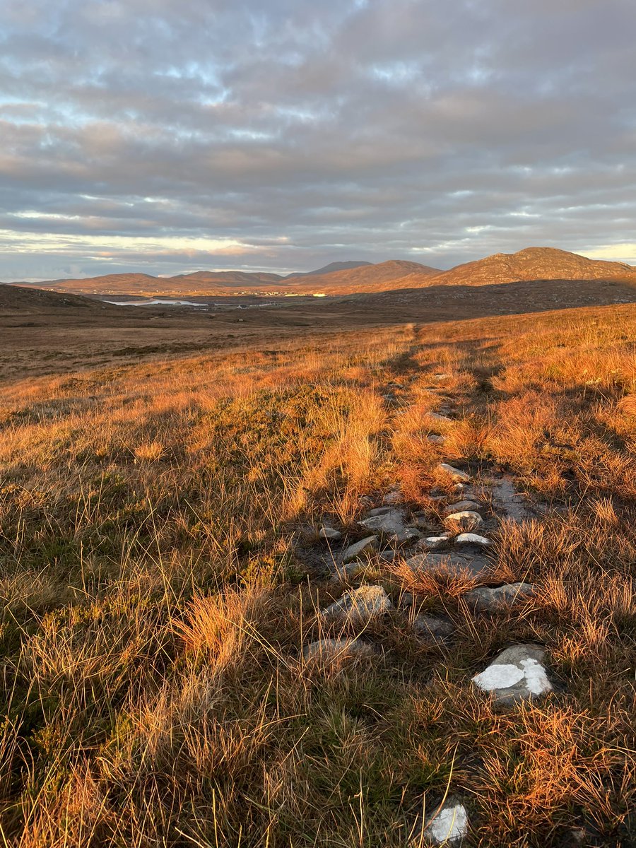 TMairiAnndra's tweet photo. Followed part of the old track from #northglendale to #southglendale to take the dogs for a walk before the sun went down.. the postie used to follow this track to deliver to #taighmairianndra it was super wet and boggy today but the views are worth it #southuist #outerhebrides https://t.co/rsCMmNT9bo