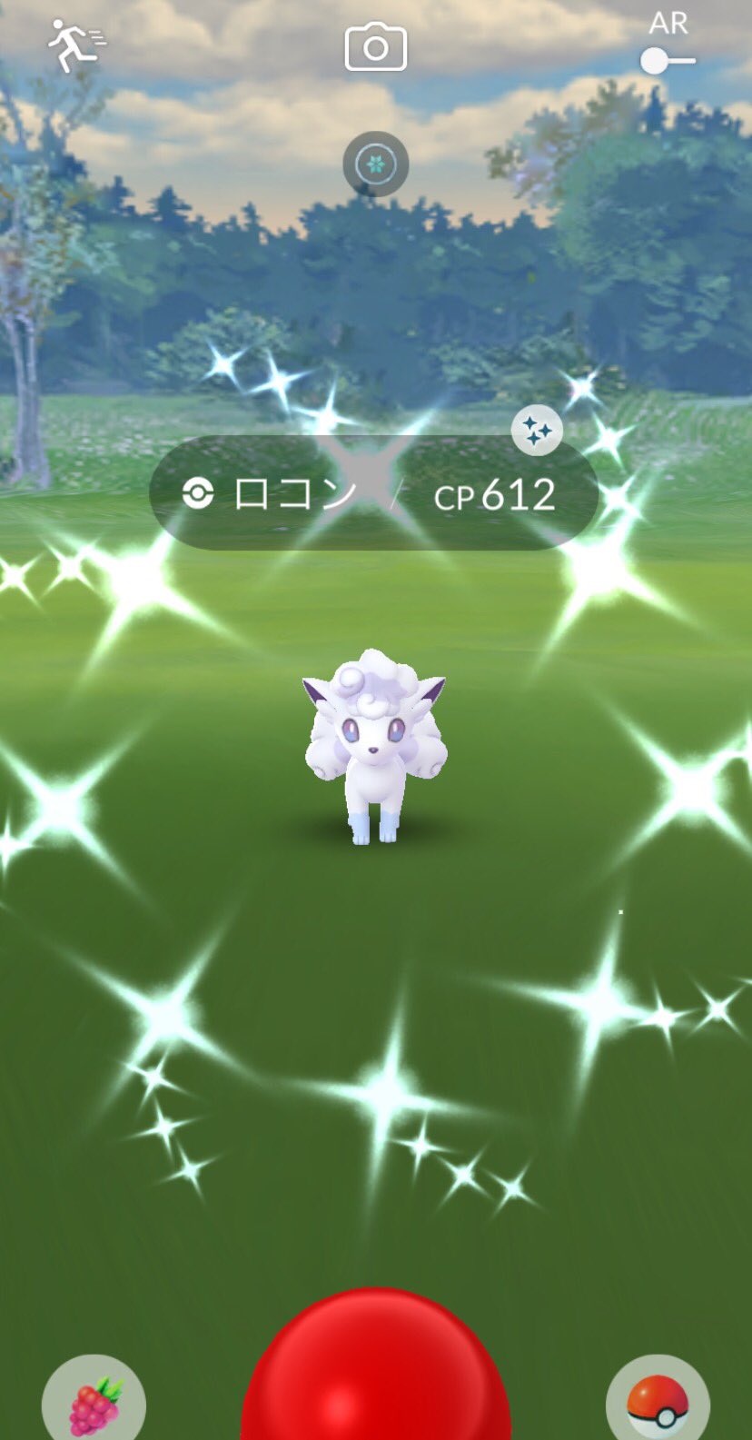 アローラロコン色違い Twitter Search Twitter