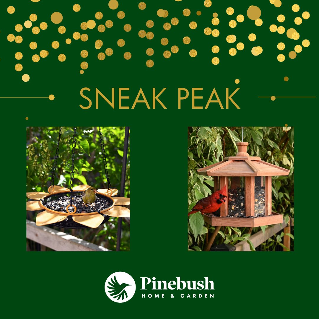 Pinebushhg's tweet photo. What does a New Year bring? New Feeders of course!

We here at Pinebush Home &amp; Garden are so excited to reveal the newest additions to our Birding and Gardening lineups!

#NewyearNewfeeders #Pinebush #Pinebushhomeandgarden #Sneakpeaks #Birdfeeders #Cambridge #Birding #Birds https://t.co/ZAwAJOtNue