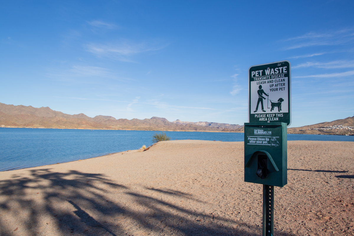 HavasuSprings's tweet photo. Looking for somewhere to wind down after a long day? 🏖

Bring your furry friend to our beach—soak in nature together and melt away stress! 🐾

#PetfriendlyBeach https://t.co/kDJ39reDgY