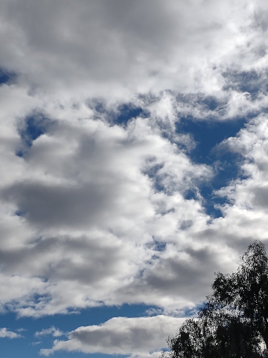 fragilexbroken's tweet photo. My favorite flavor of cloud watching is this, with all the different ways the sun reflects while hidden #ActuallyAutistic #VisualStim https://t.co/rGpZz4HZtg
