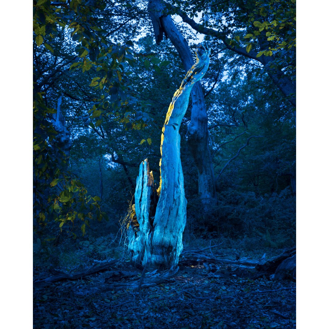 EmArtistGallery's tweet photo. Grete Hjorth-Johansen is the Choice Winner of the Ashurst Emerging Artist Prize 2021

TETHYS
​2020
Fine art archival pigment print

Featuring in her exhibition "Tartarus", this artwork is also available to purchase from our shop: https://t.co/EJT8pd6kQb https://t.co/eKt3tt06TM