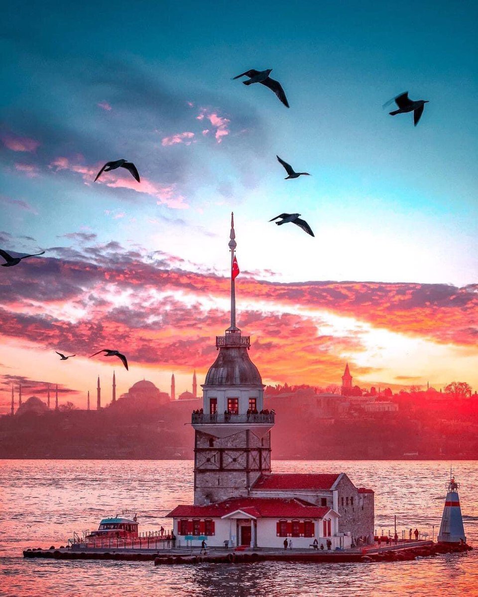 yeeromanya's tweet photo. 🇷🇴 Bună seara tuturor din Istanbul, capitala culturii, iubirii, toleranței și ospitalității!
🇹🇷 Dünyanın kültür, aşk, sevgi, hoşgörü, misafirperverlik başkenti #İstanbul’dan herkese iyi akşamlar!
@yeeorgtr
@goturkiye
#safeturkey #safeturkiye #photograph #turkey #romania #love https://t.co/DaOHvYF19i